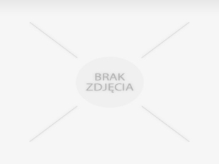 Nowoczesne żelazka ze stacją parową